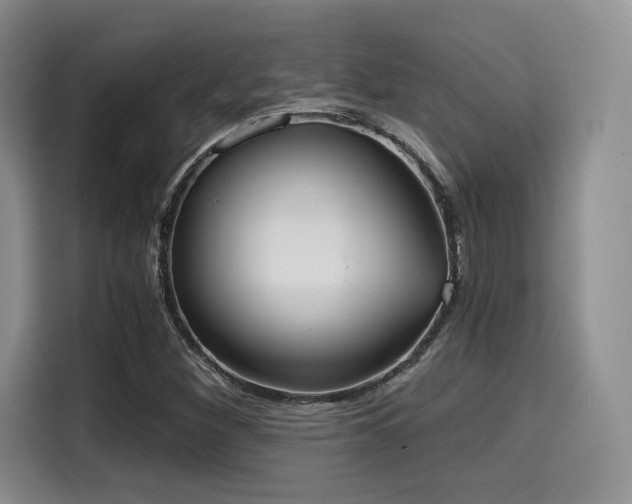 X0000114591260200910191550