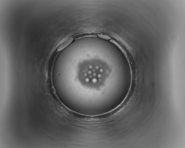 X0000114591261200910191550