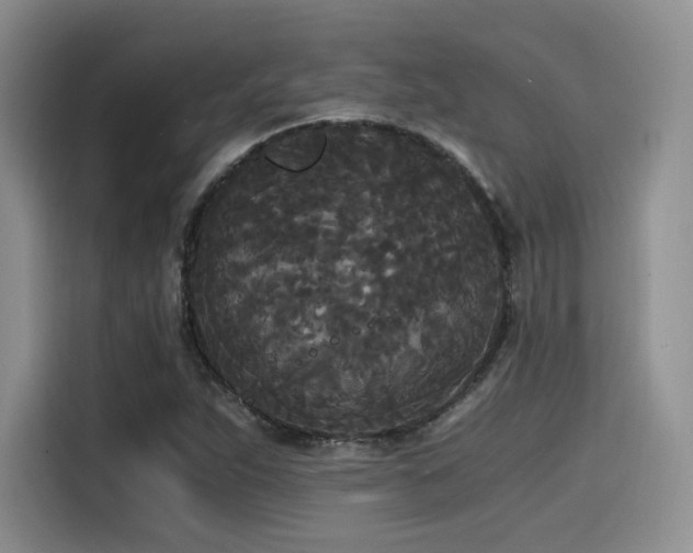 X0000114591263200910191550