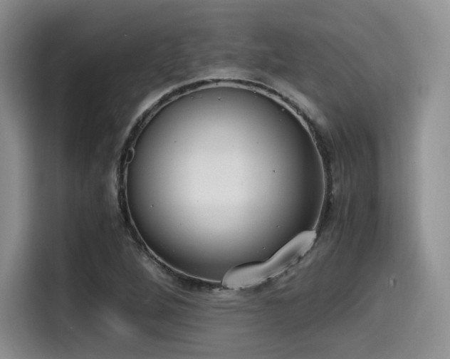 X0000114591264200910191550