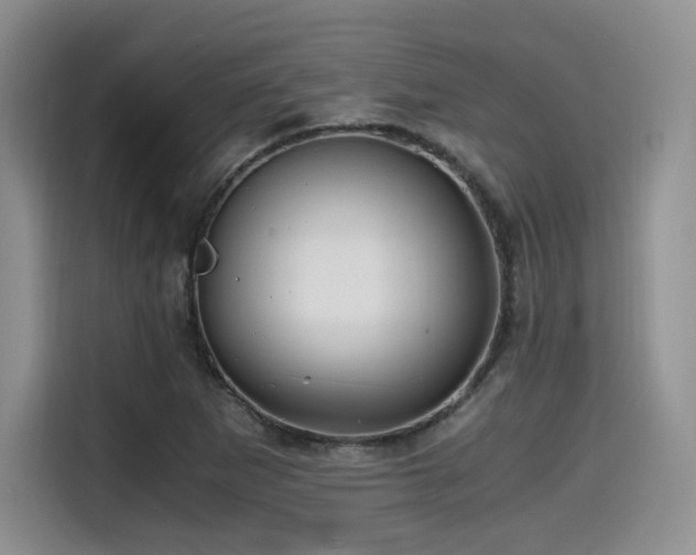 X0000114591265200910191550