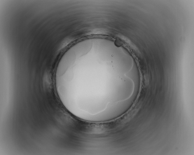 X0000114591266200910191550