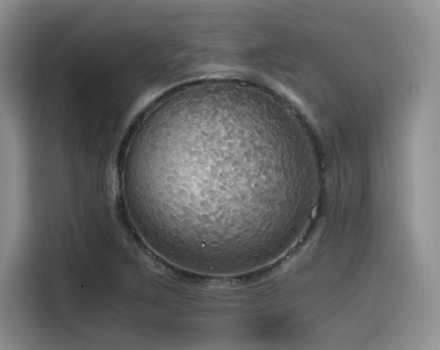 X0000114591267200910191550
