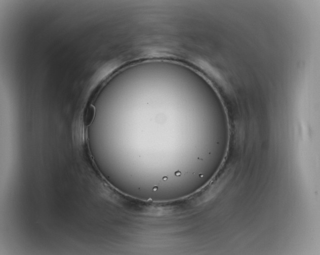 X0000114591269200910191550