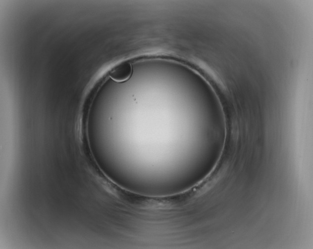 X0000114591270200910191550