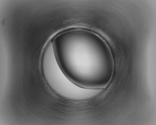 X0000114591272200910191550