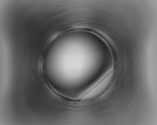 X0000114591273200910191550
