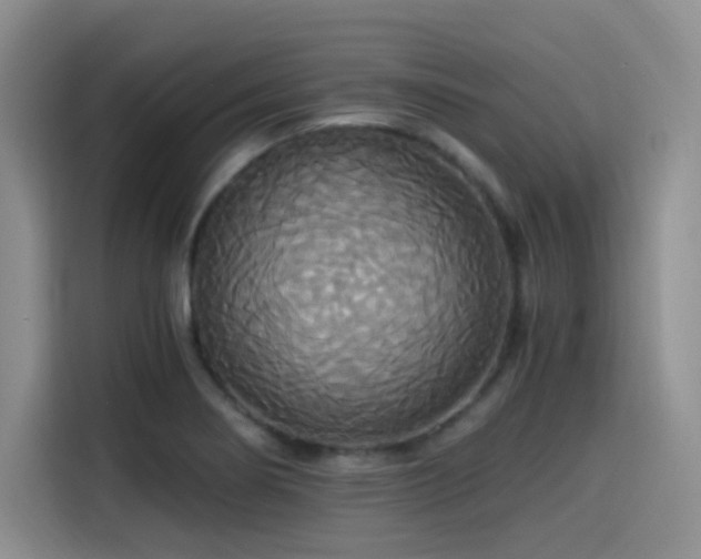 X0000114591274200910191550