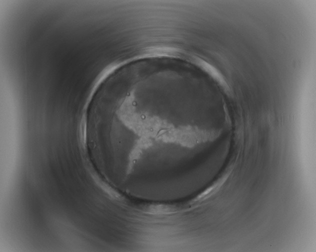 X0000114591275200910191550