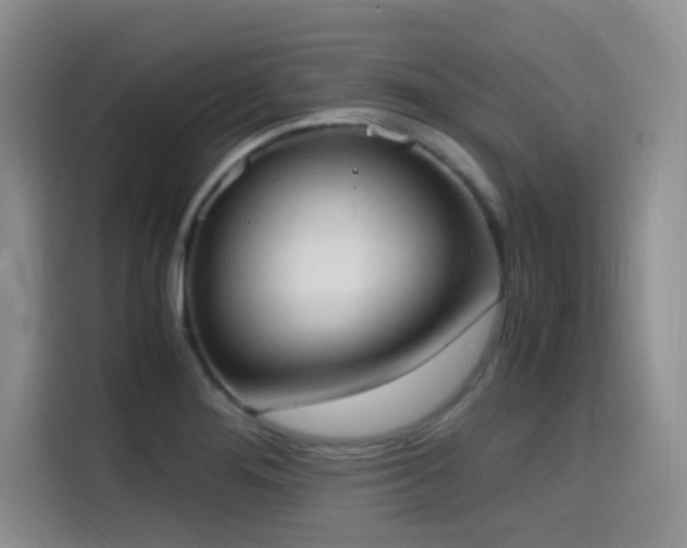 X0000114591276200910191550