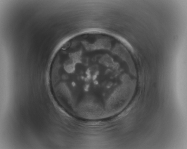 X0000114591279200910191549