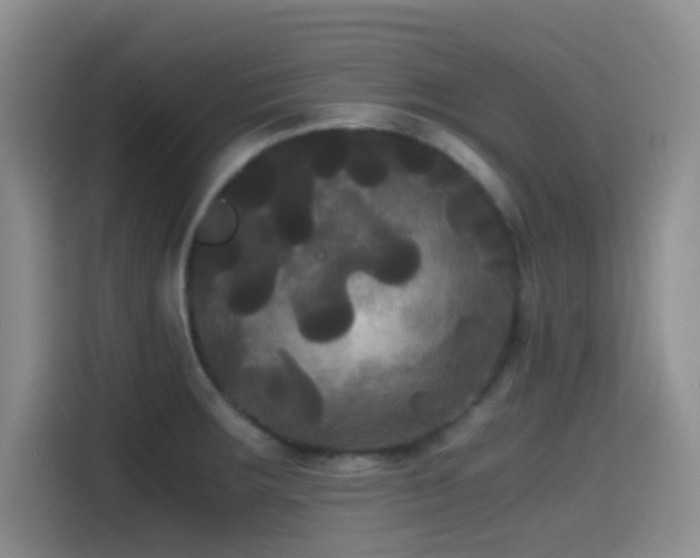X0000114591283200910191549