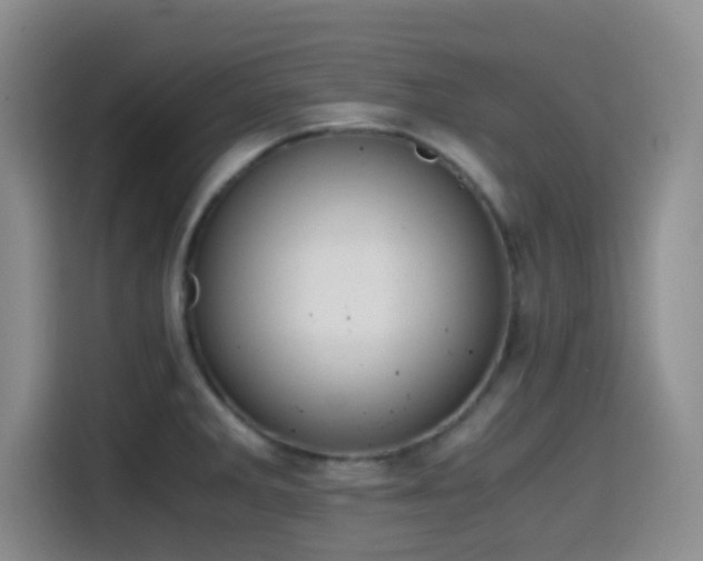 X0000114591285200910191549