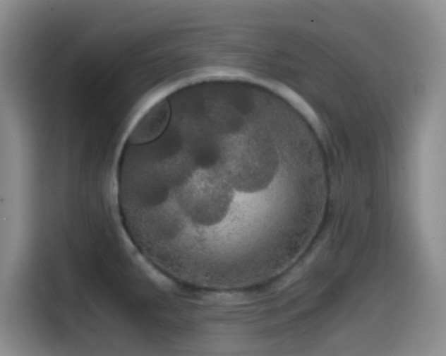 X0000114591287200910191549