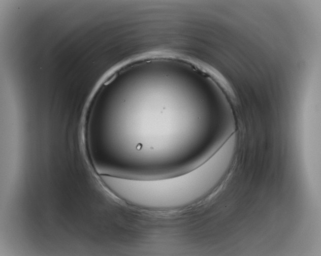 X0000114591288200910191549