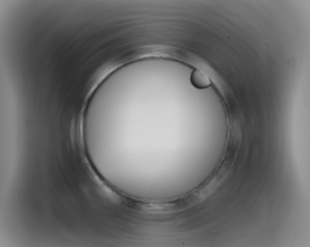 X0000114591290200910191549
