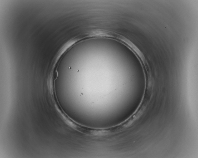 X0000114591293200910191549