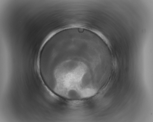 X0000114591294200910191549