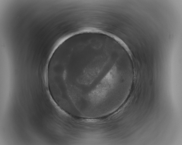 X0000114591295200910191549