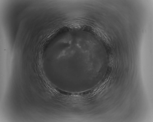 X0000114591297200910191549