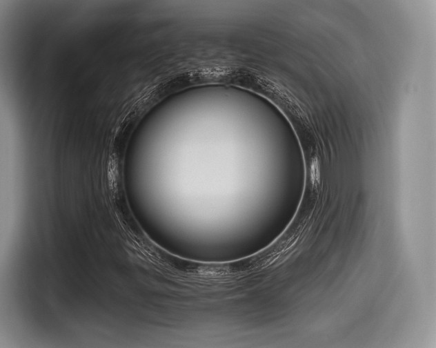 X0000114591299200910191549