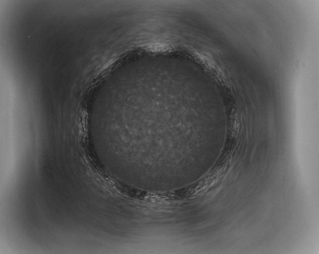 X0000114591301200910191549