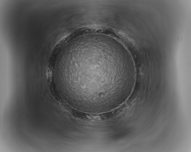 X0000114591302200910191549