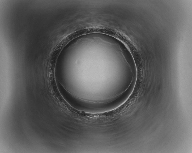 X0000114591303200910191549