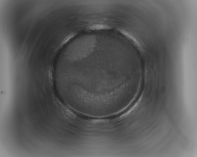 X0000114591305200910191549