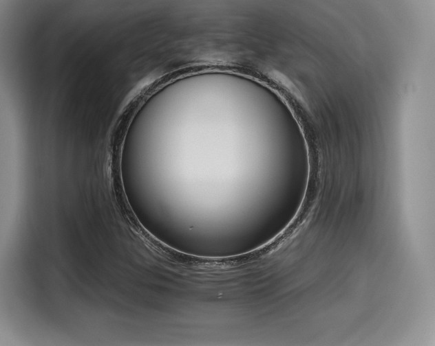 X0000114591307200910191549