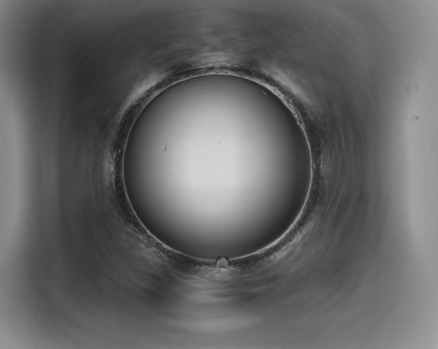 X0000114591309200910191549