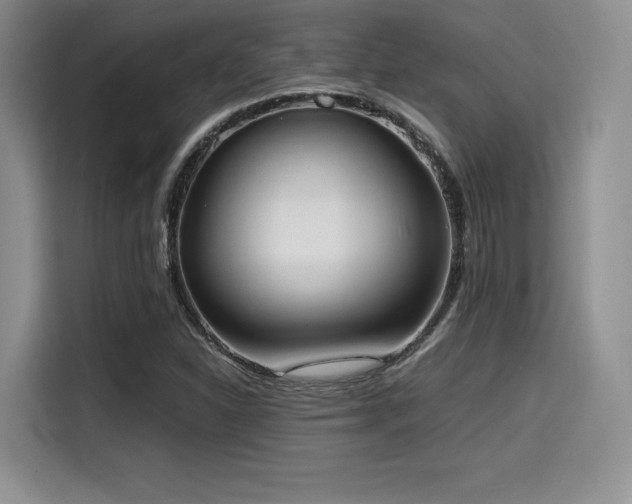 X0000114591310200910191549