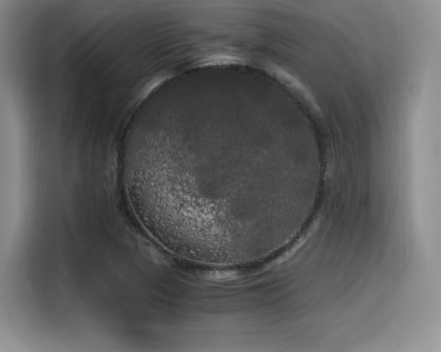 X0000114591313200910191549