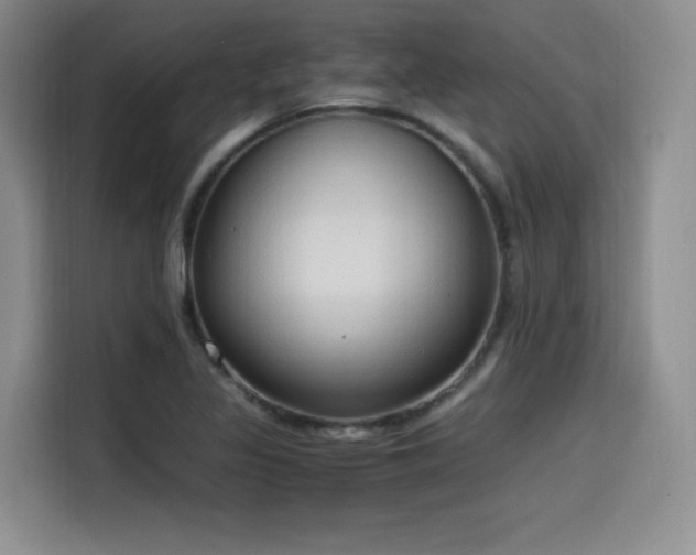 X0000114591317200910191549