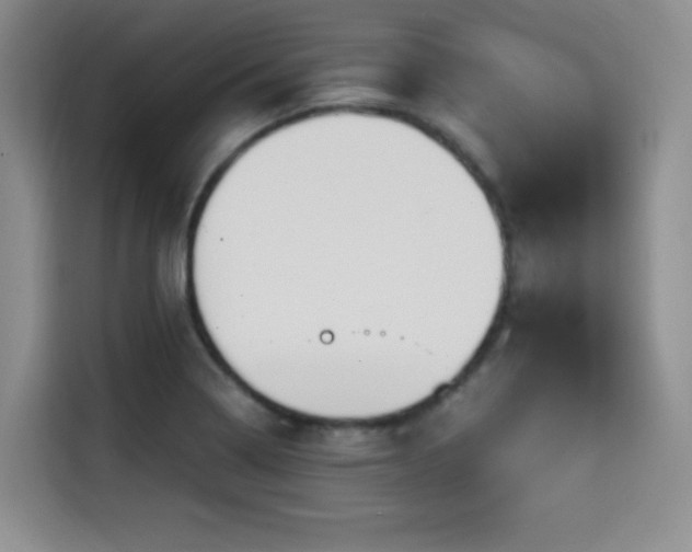 X0000114591322200910191549