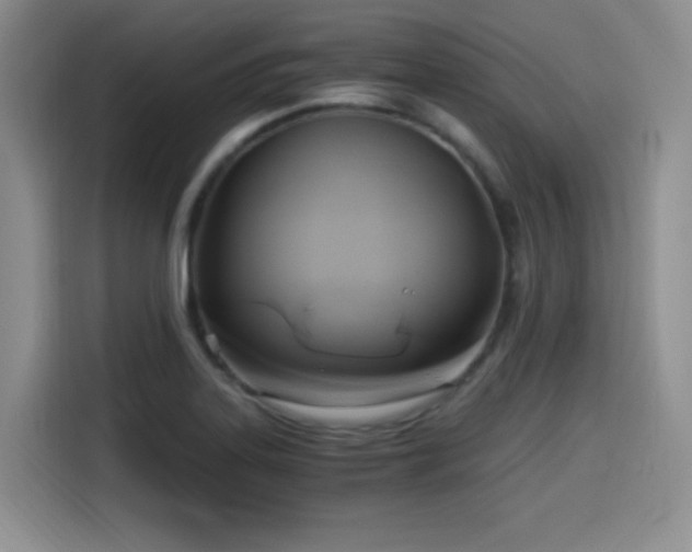 X0000114591323200910191549