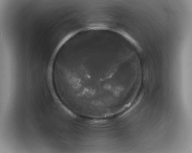 X0000114591325200910191549