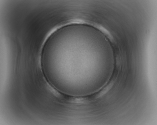 X0000114591326200910191549