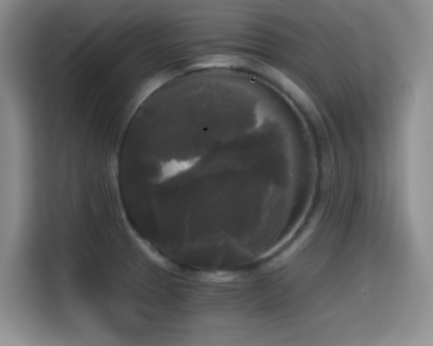 X0000114591329200910191549
