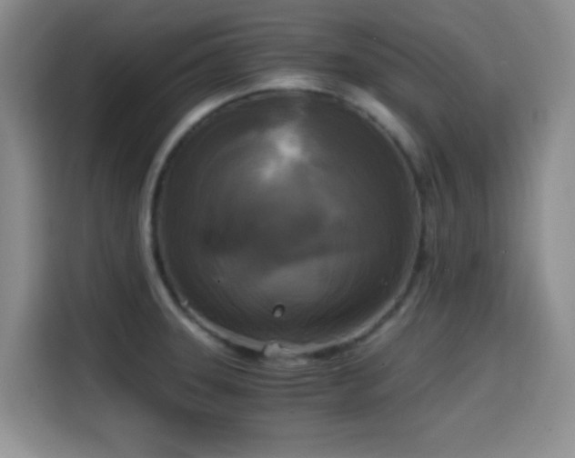 X0000114591331200910191549