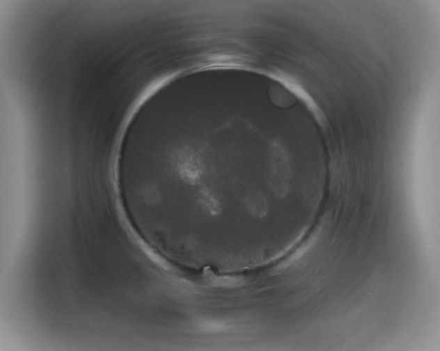 X0000114591333200910191549