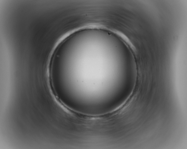 X0000114591335200910191549