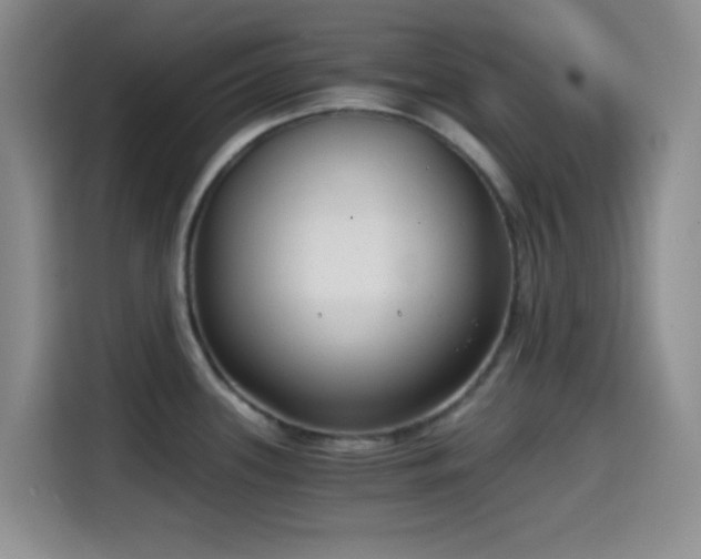 X0000114591339200910191549