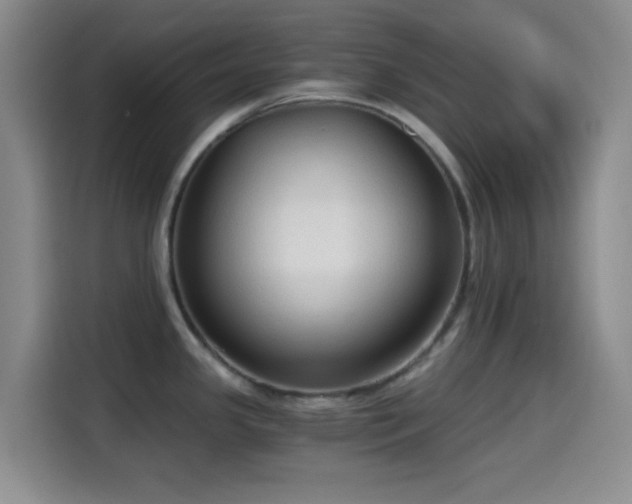 X0000114591341200910191549