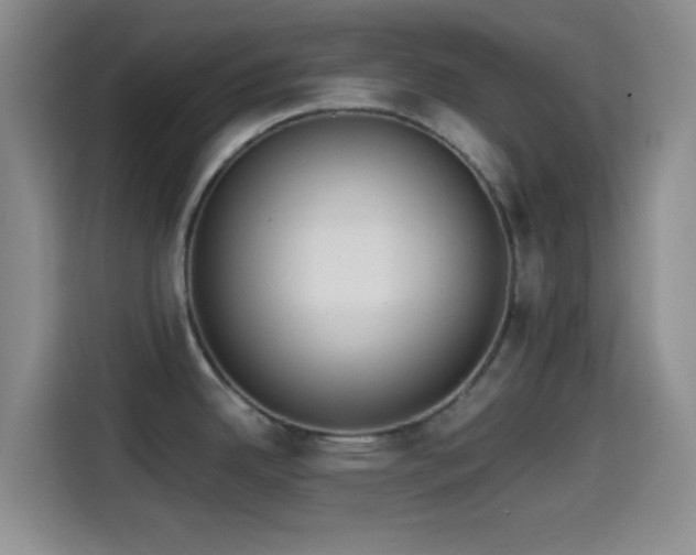 X0000114591342200910191549