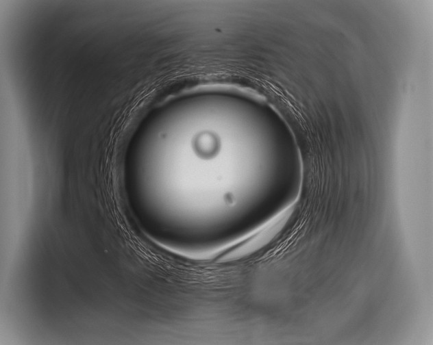 X0000114591345200910191549
