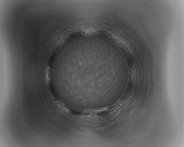 X0000114591346200910191549