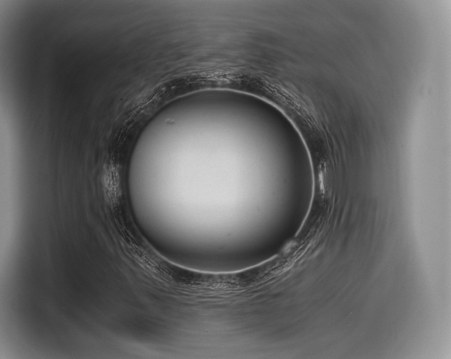 X0000114591347200910191549