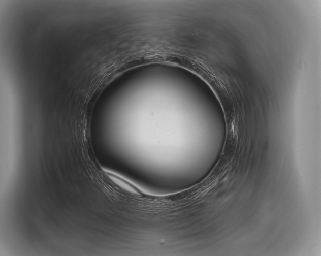 X0000114591348200910191549