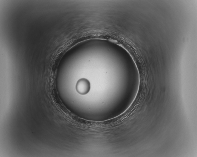 X0000114591349200910191549
